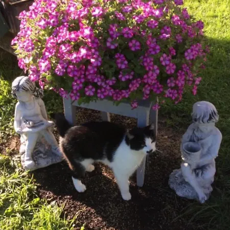 Haus Reichlas Vakantiehuis Längenfeld