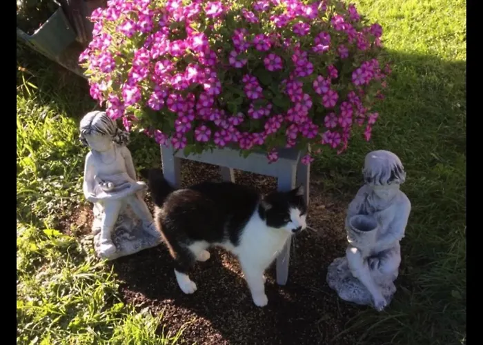 Haus Reichlas בית נופש לאנגנפלד